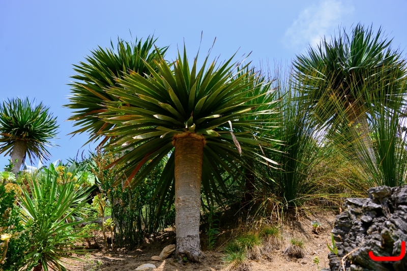 День 2 - Синтра_9