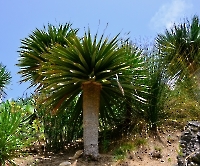 День 2 - Синтра_9