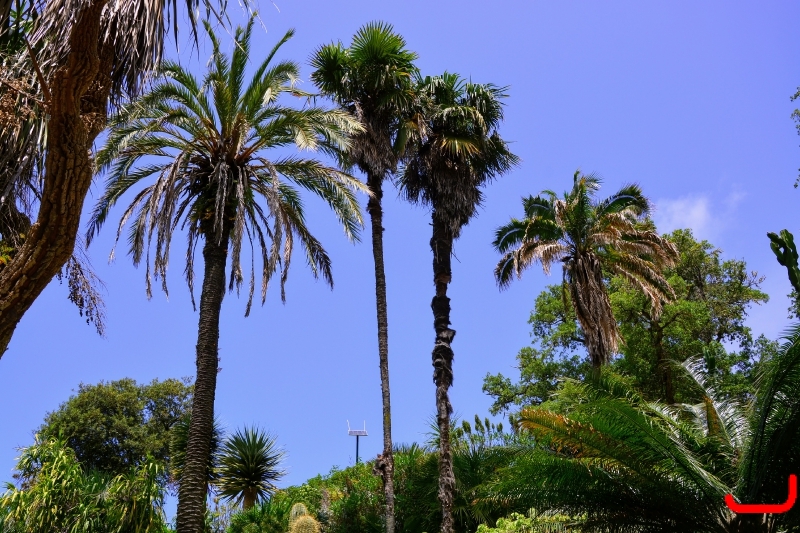 День 2 - Синтра_10