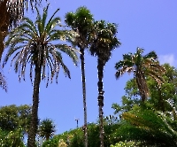 День 2 - Синтра_10