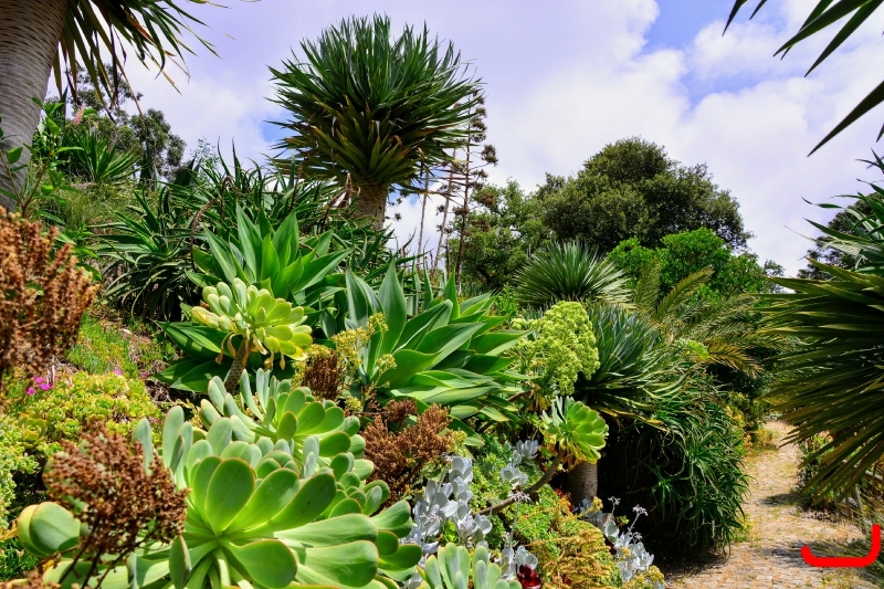 День 2 - Синтра_1