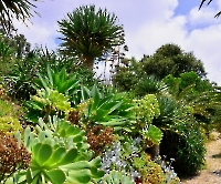 День 2 - Синтра_1