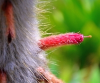 День 2 - Синтра_2