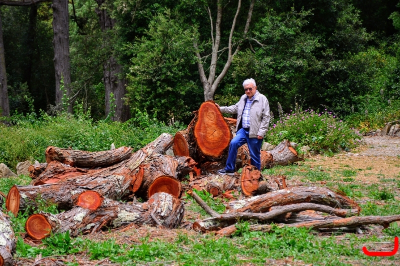 День 2 - Синтра_3