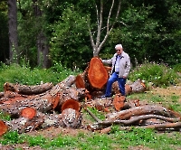 День 2 - Синтра_3