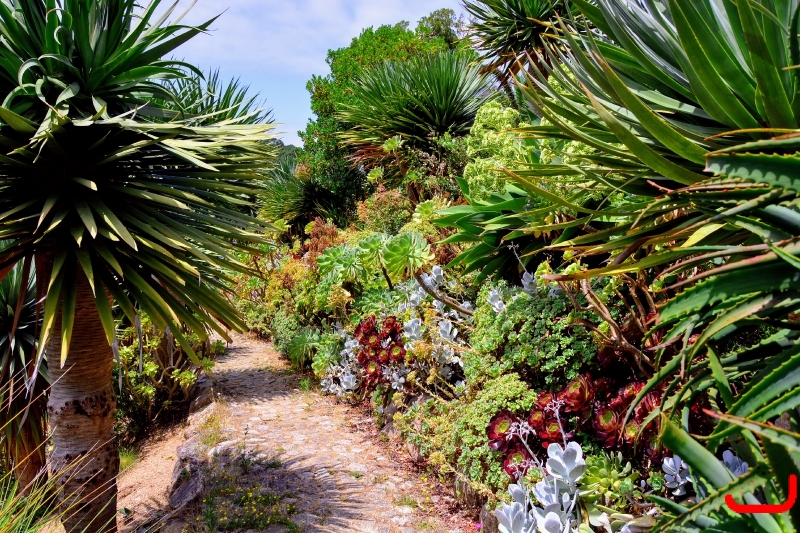 День 2 - Синтра_6