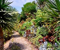 День 2 - Синтра_6