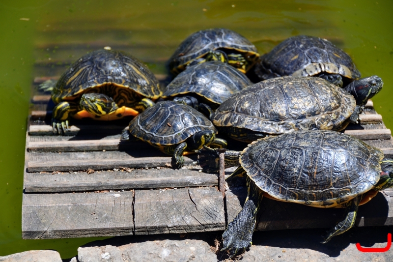 День 6 - Кашкайш и Лиссабон_6