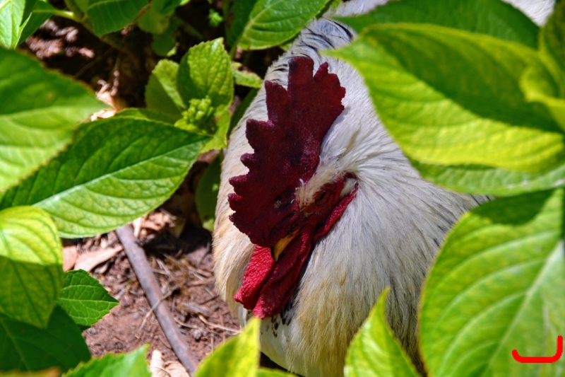 День 6 - Кашкайш и Лиссабон_7