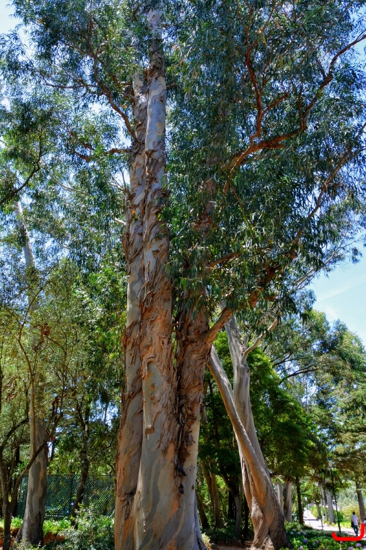 День 6 - Кашкайш и Лиссабон_8