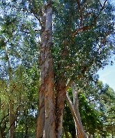 День 6 - Кашкайш и Лиссабон_8