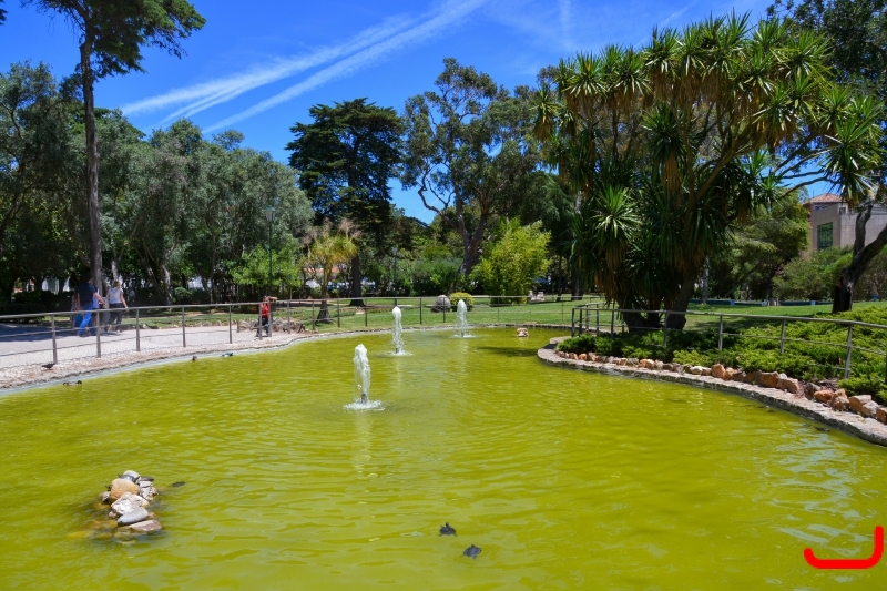 День 6 - Кашкайш и Лиссабон_9