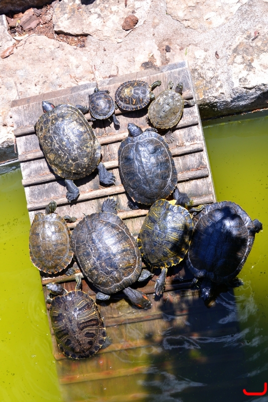 День 6 - Кашкайш и Лиссабон_10