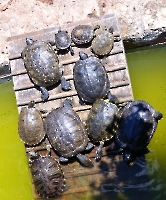 День 6 - Кашкайш и Лиссабон_10