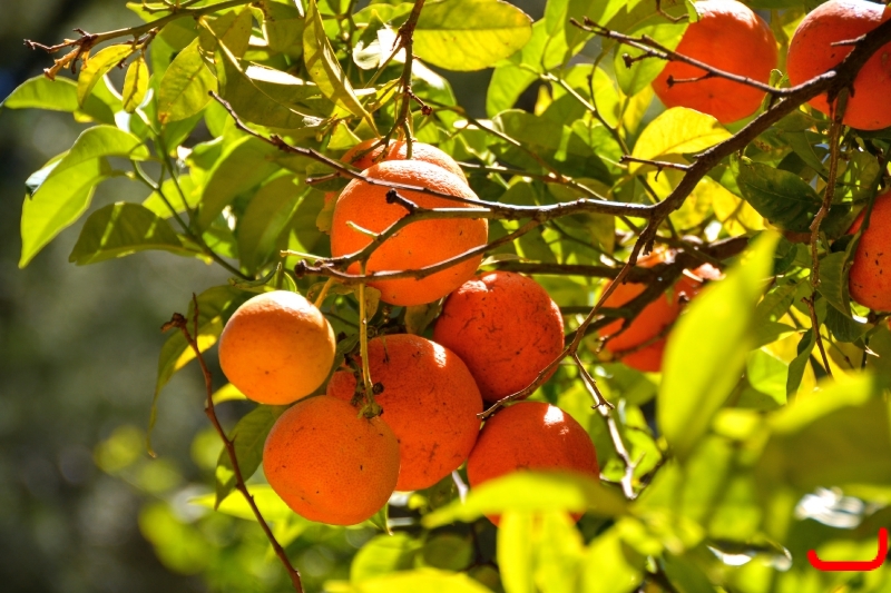 День 6 - Кашкайш и Лиссабон_2