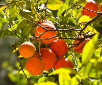 День 6 - Кашкайш и Лиссабон_2