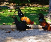 День 6 - Кашкайш и Лиссабон_3