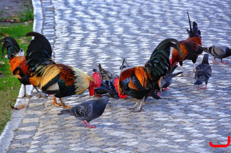 День 7 - Лиссабон_1