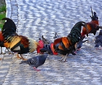 День 7 - Лиссабон_1