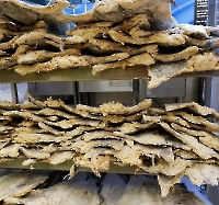 День 7 - Лиссабон_10