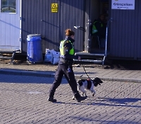 День 2 - Мальме_2