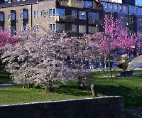 День 2 - Мальме_3