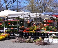 День 2 - Мальме_7