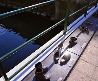 День 2 - Мальме_1