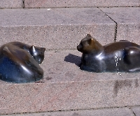 День 2 - Мальме_5