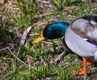 День 2 - Мальме_2