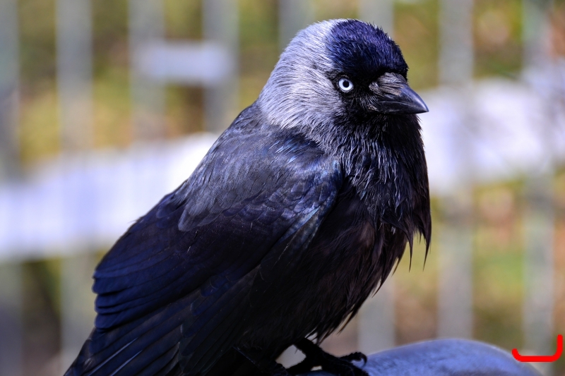 День 2 - Мальме_3