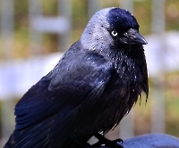 День 2 - Мальме_3