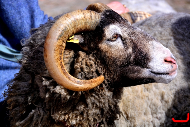 День 2 - Мальме_8