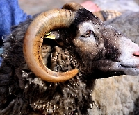 День 2 - Мальме_8