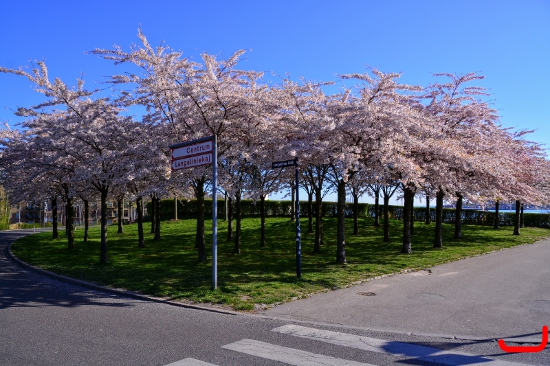 День 3 - Копенгаген_3