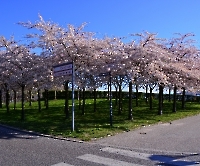 День 3 - Копенгаген_3