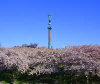 День 3 - Копенгаген_6