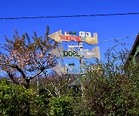 День 3 - Копенгаген_4