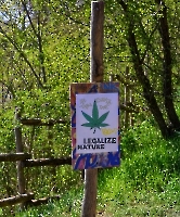 День 3 - Копенгаген_6