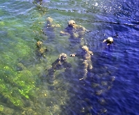 День 3 - Копенгаген_8