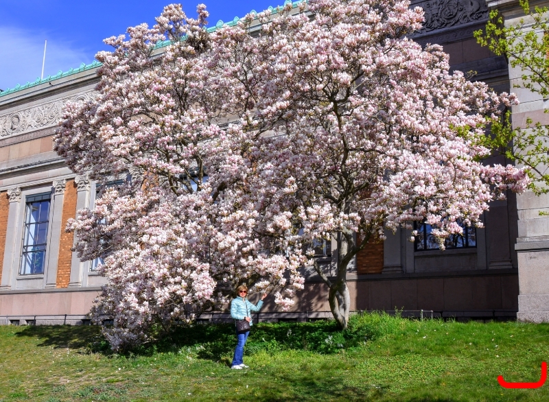 День 5 - Копенгаген_3