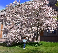 День 5 - Копенгаген_3