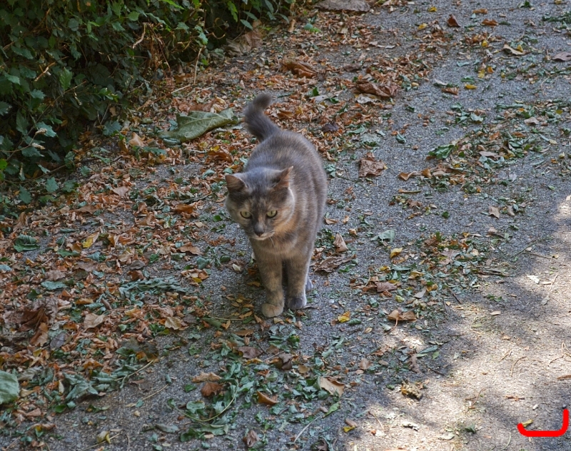 Монтекатини Терме_17