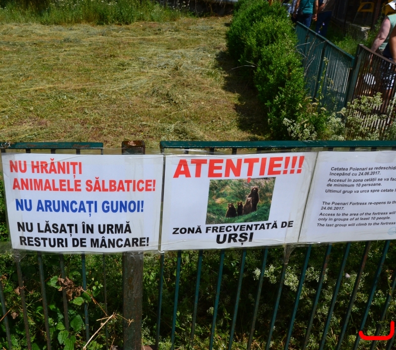 Крепость Poenari+Curtea-de-Argeş_3
