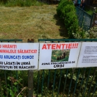 Крепость Poenari+Curtea-de-Argeş_3