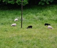 День 3 - Берхтесгаден_34