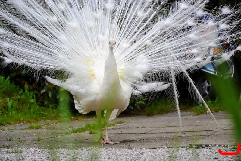 День 4 - Инсбрук_7