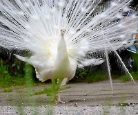 День 4 - Инсбрук_7