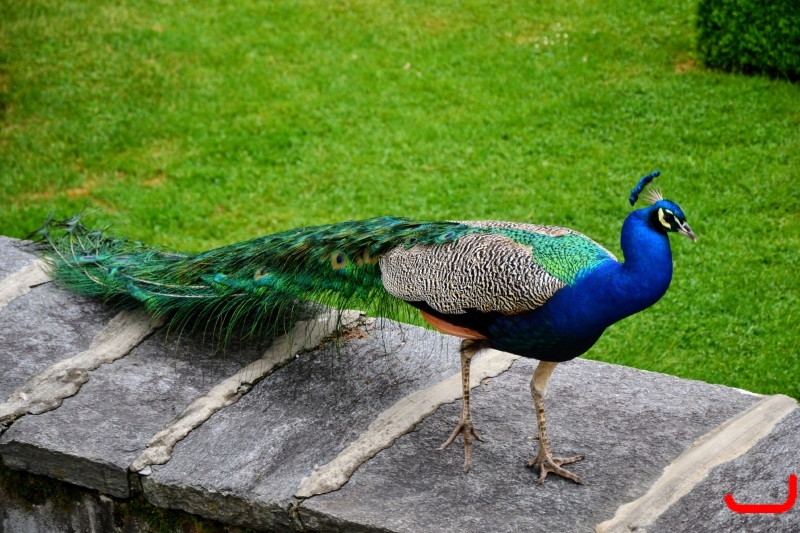 День 4 - Инсбрук_10