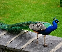 День 4 - Инсбрук_10